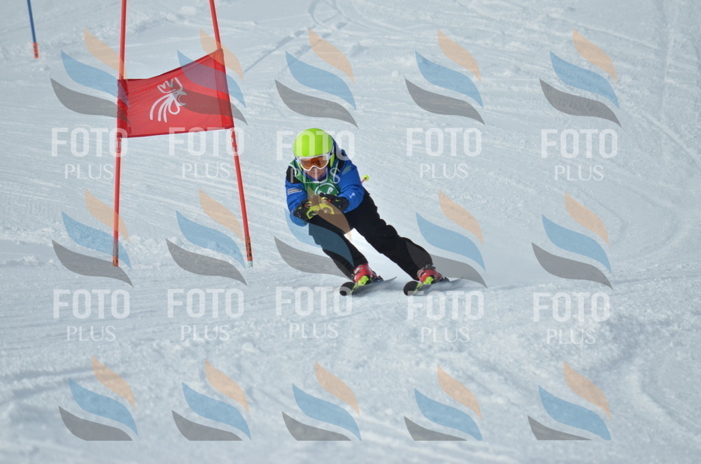 D8703 | holidayphoto