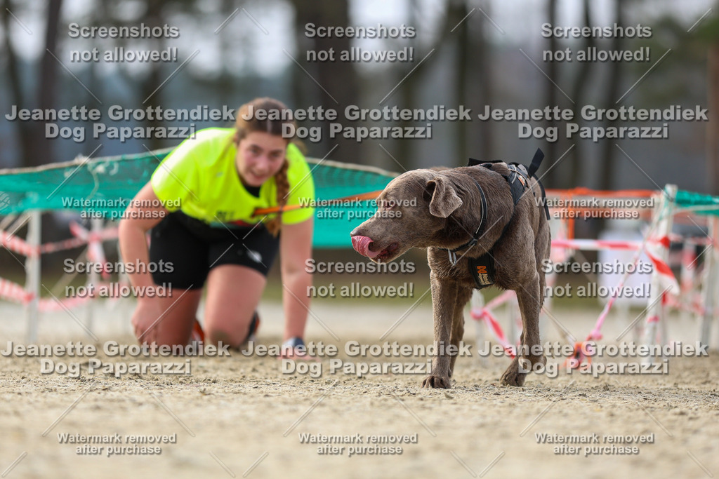 Dog Paparazzi - Strongdog North Mrz26-4764 | Dog Paparazzi Jeanette Grottendiek Fotografie & Videografie - Realisiert mit Pictrs.com
