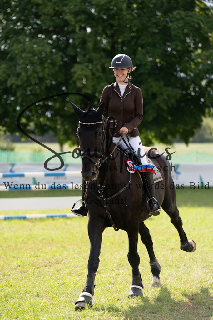 A7V05253 | Pferdefotograf