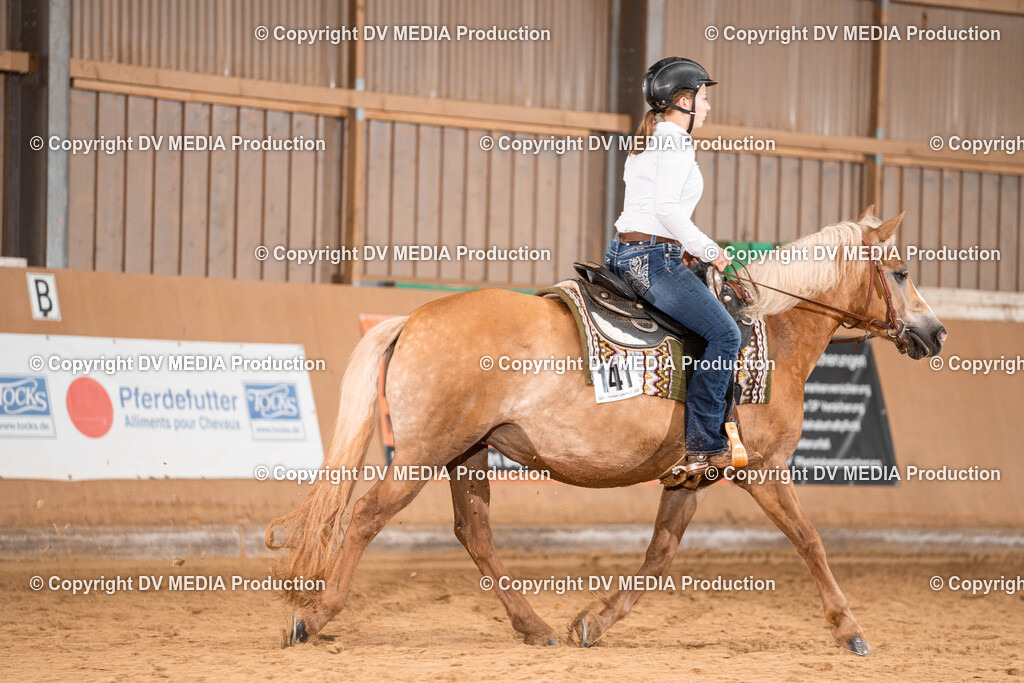 Losheim Tag 1-525 | dv-media-shop - Realisiert mit Pictrs.com