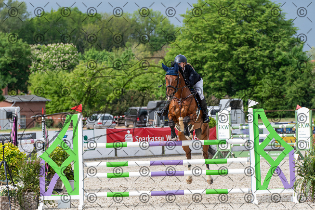 KPT_0197 | andre_photographic