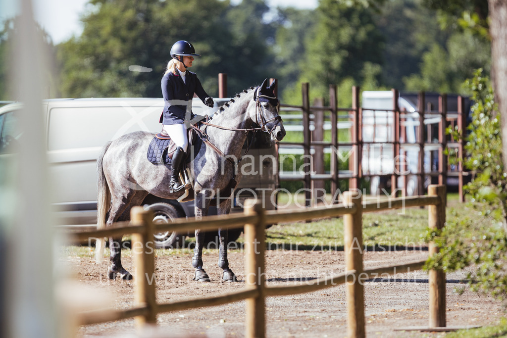 220705_Mühlen_SprPf-A2-201 | Late Entry Mühlen
05.07.2022
02 Springpferde-A**, 4-6jährige Pferde