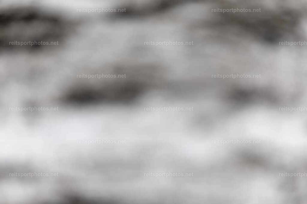 JoYaR3_Heidehof_00463 | JoYa Fotografie - Realisiert mit Pictrs.com