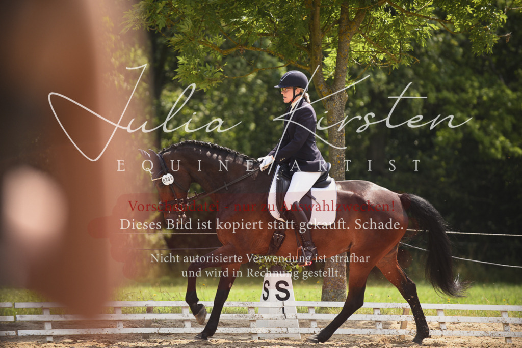 DSC_0957 | Pferde- und Turnierfotografie in Westsachsen. Pferdeportraits, Auftragszeichnungen und intuitive Kunst.