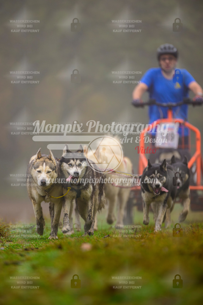 MompixPhotography_Bischwiller2025_Kart-42 | mompixphotography