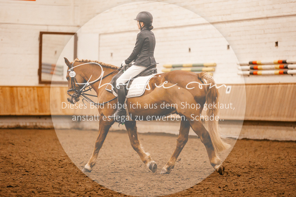 3I6A6423 | Stimmungsvolle Portraits und Reitsportfotografie im Ruhrgebiet und im Münsterland.

Pferdefotografie, Hundefotografie, Tierfotografie, Reportagen, Portraits von Tier und Mensch, Turnierfotografie in Bochum, Recklinghausen, Marl, Haltern am See, Dülmen.. - Realisiert mit Pictrs.com