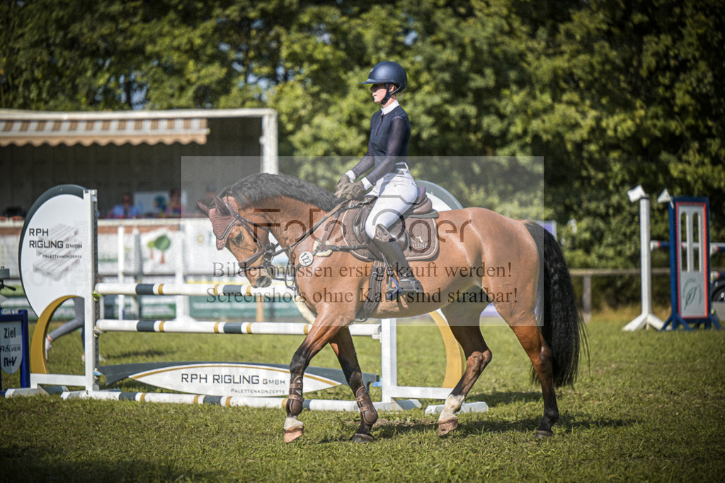 DOS_0409 | Entdecke hochwertige Reitturnierfotos von Foto Oger. Professionell, emotional und authentisch – jetzt Lieblingsmomente im Shop bestellen.Deutschlandweite Turnierfotografie. - Realisiert mit Pictrs.com