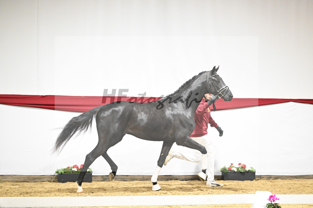 Kat-Nr. 58 v. Donier_Heilemann_63221761 | hf-fotografie - Realizzato con Pictrs.com