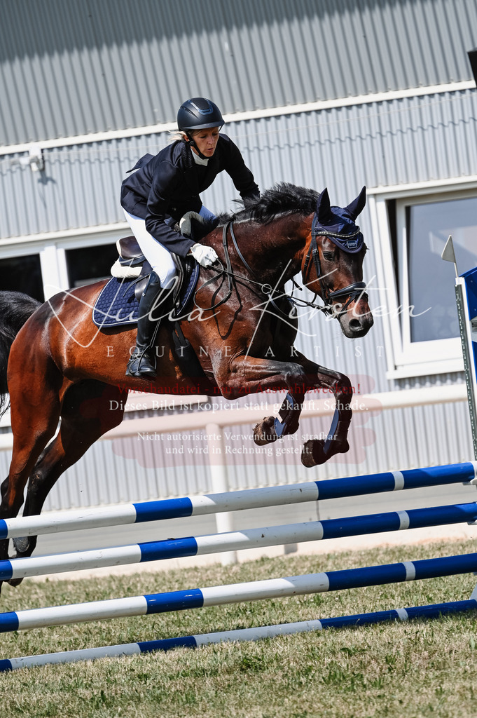 DSC_8766 | Pferde- und Turnierfotografie in Westsachsen. Pferdeportraits, Auftragszeichnungen und intuitive Kunst.