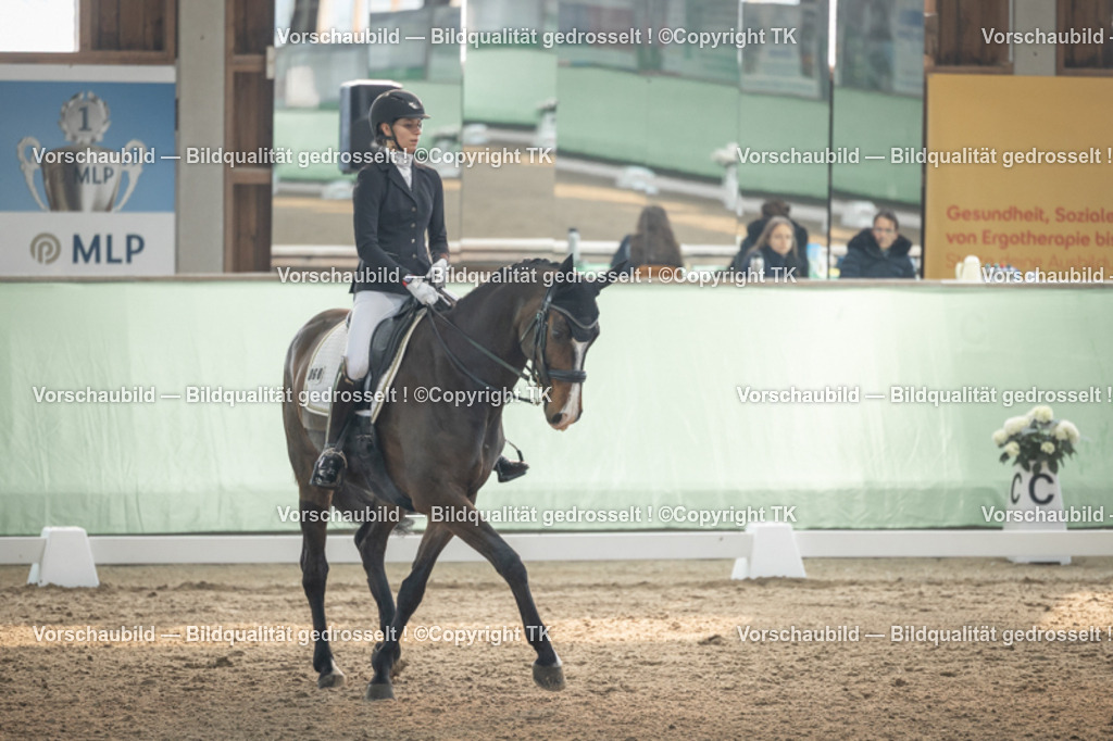 _D5A4268 | Emotionale Pferde- & People-Fotografie rund um Heidelberg, Leimen & Umgebung. Natürliche Fotos von Pferd, Mensch & Familie. Jetzt Termin sichern!