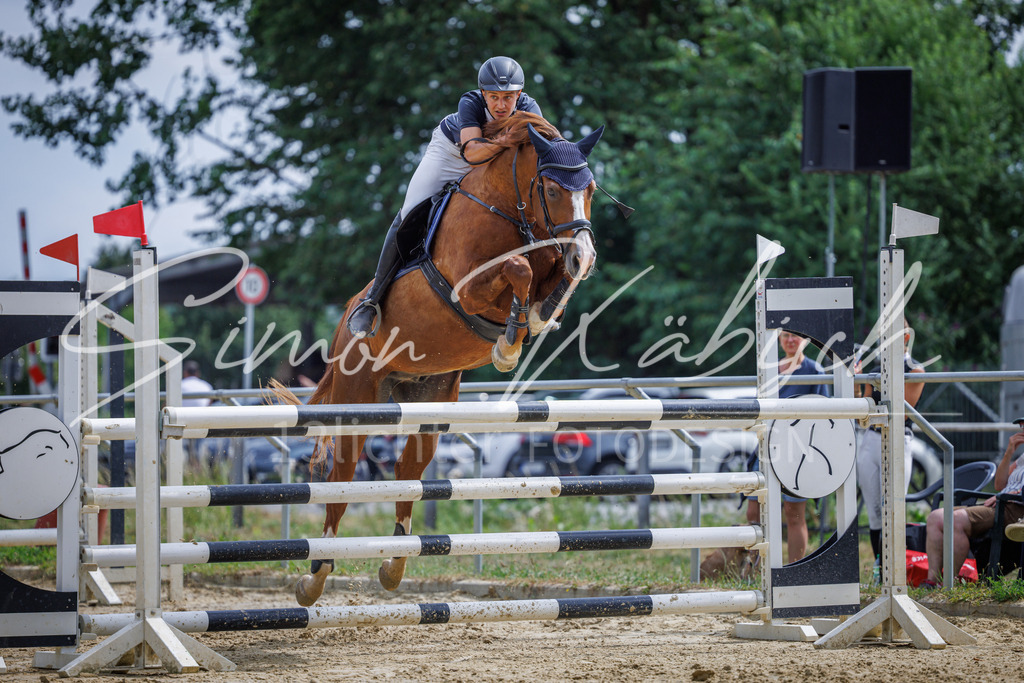 20260705-_3LI6638 | Tierfotografie Pferde, Hunde, Katzen, Haustiere.
Turnierfotografie Reitturniere, Reiten, Springreiten, Dressur in Hanau, dem Main-Kinzig-Kreis und dem Rhein-Main- Gebiet um Frankfurt