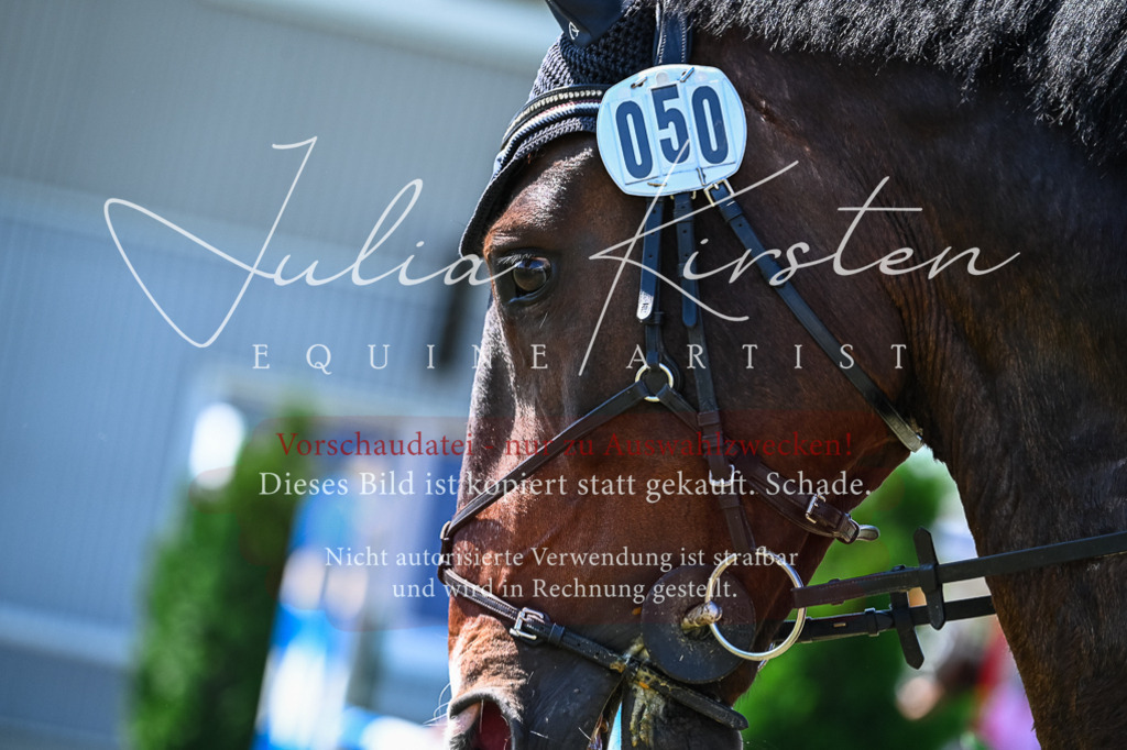 DSC_1211 | Pferde- und Turnierfotografie in Westsachsen. Pferdeportraits, Auftragszeichnungen und intuitive Kunst.