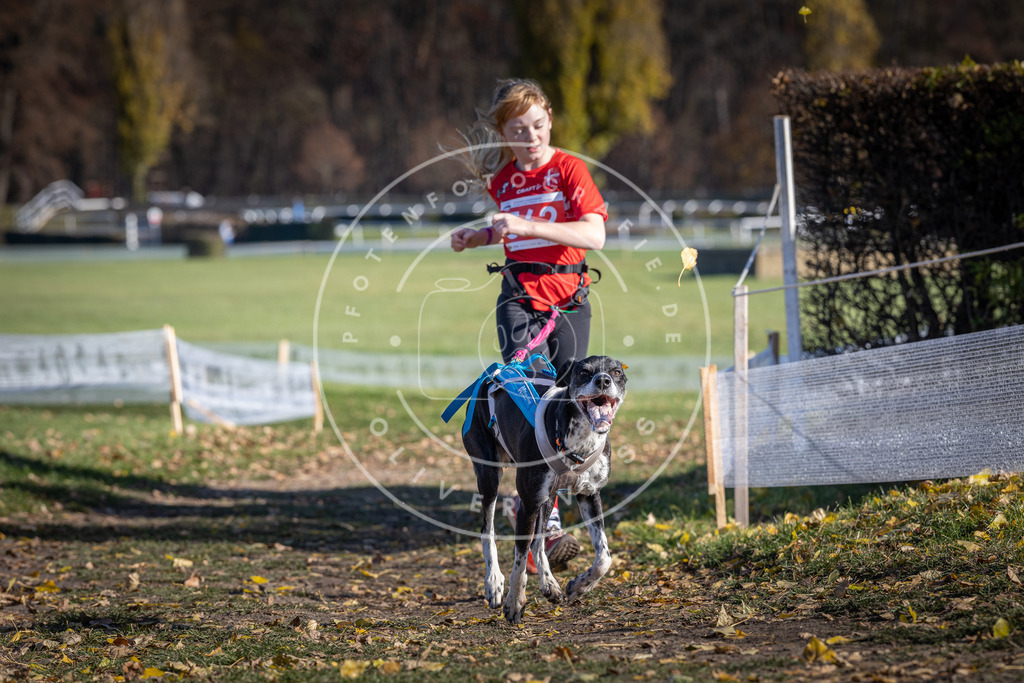 CaniXpix_DV3A8722 | Hundefotografie, Tierfotograf, Pfotenfotografie, Fotoshooting Hund, Hunde Portrait, Hundesport, Hundeportraits, Heideshooting, Hunde, Sportfotograf, Hundefotograf, Turnierhundsport, THS,  - Realisiert mit Pictrs.com