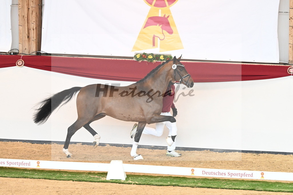 Kat.-Nr. 81 v. Vivino_Freisel_2241055 | hf-fotografie - Realisiert mit Pictrs.com