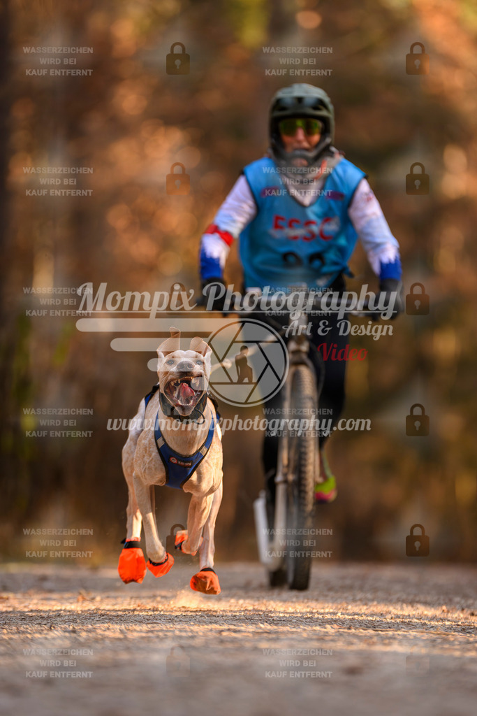 MompixPhotography_DM_AKDM_SO_2025_Scooter-161 | PayLife