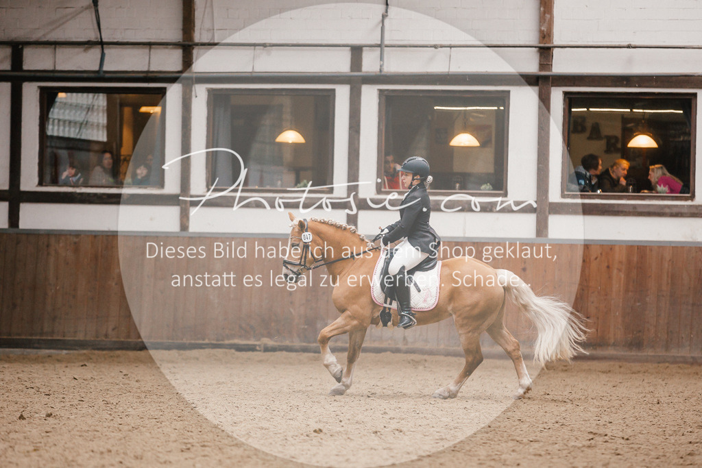 3I6A7872 | Stimmungsvolle Portraits und Reitsportfotografie im Ruhrgebiet und im Münsterland.

Pferdefotografie, Hundefotografie, Tierfotografie, Reportagen, Portraits von Tier und Mensch, Turnierfotografie in Bochum, Recklinghausen, Marl, Haltern am See, Dülmen.. - Realisiert mit Pictrs.com