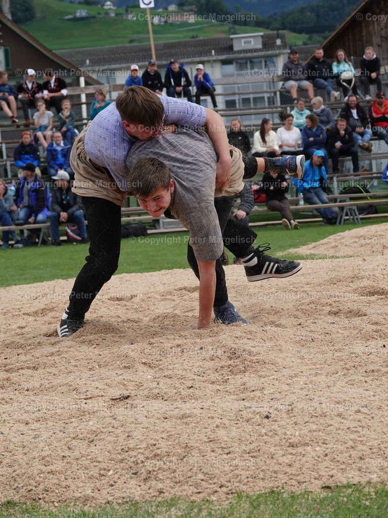 DSC05477 | Schwingen - Realisiert mit Pictrs.com