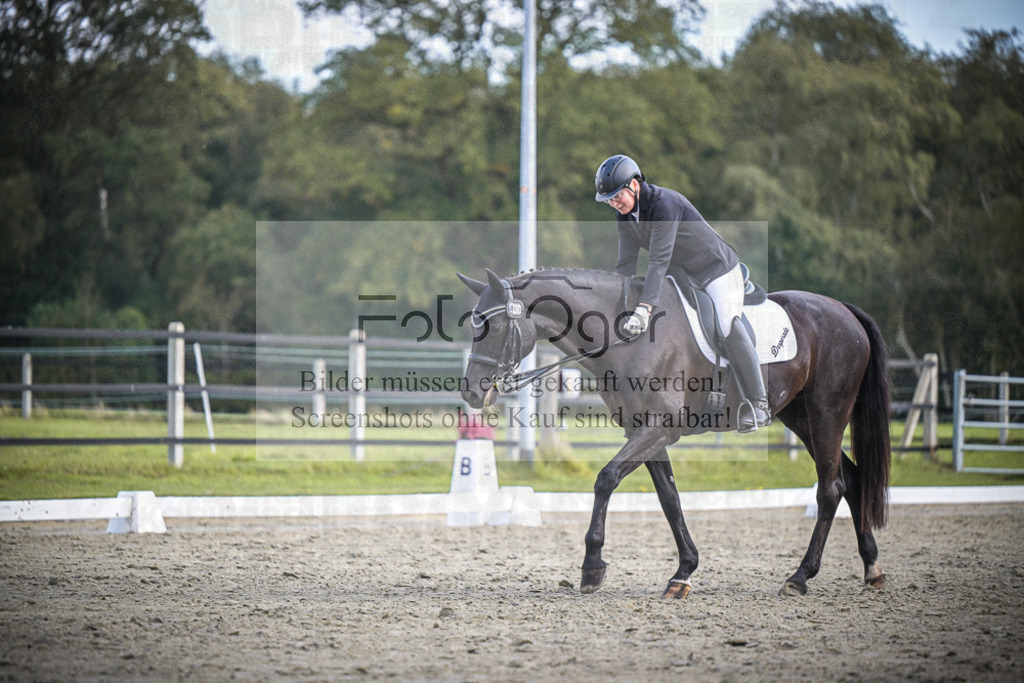 DOS_0906 | Entdecke hochwertige Reitturnierfotos von Foto Oger. Professionell, emotional und authentisch – jetzt Lieblingsmomente im Shop bestellen.Deutschlandweite Turnierfotografie. - Realisiert mit Pictrs.com