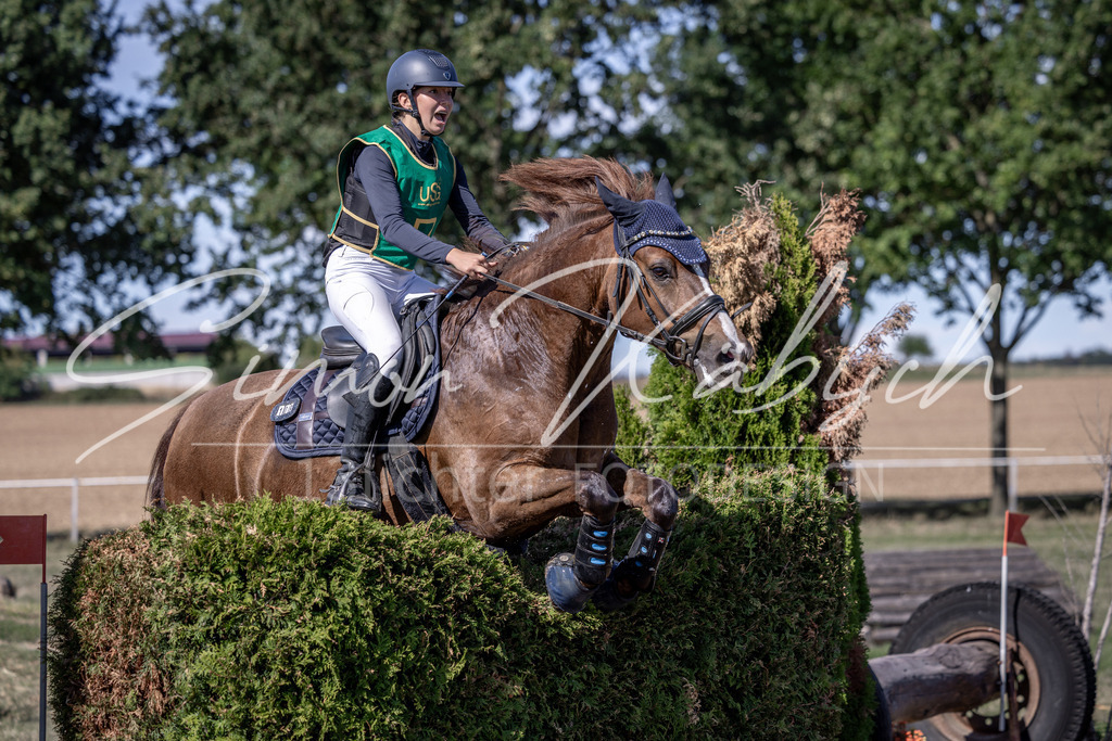 20260906-_3LI5454 | Tierfotografie Pferde, Hunde, Katzen, Haustiere.
Turnierfotografie Reitturniere, Reiten, Springreiten, Dressur in Hanau, dem Main-Kinzig-Kreis und dem Rhein-Main- Gebiet um Frankfurt