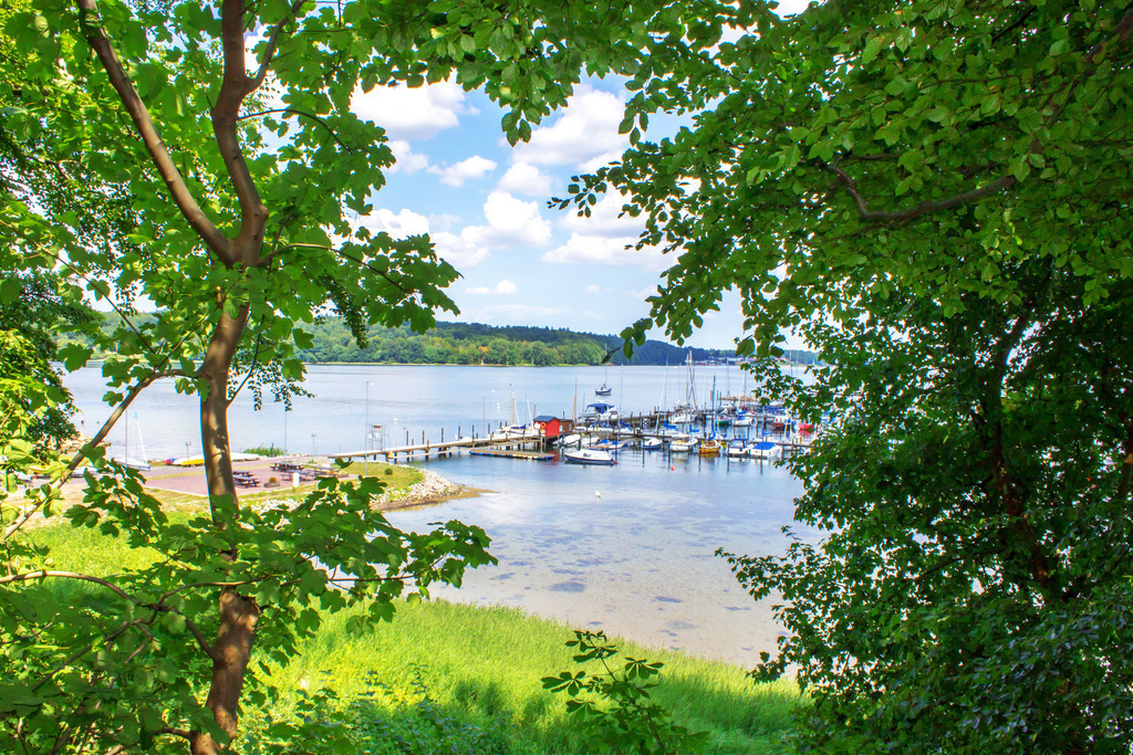 Wandbild: Yachthafen in Wassersleben  | Dieses Wandbild im Querformat zeigt Bäume. Zwischen den Zweigen kann man den Yachthafen in Wassersleben bei Flensburg erkennen.  - Realisiert mit Pictrs.com