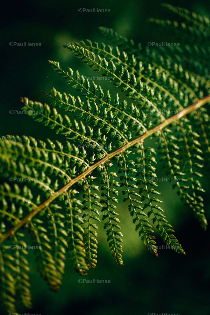 20221020_PaulHense_S0024_DSC00070 | paulhense - Realisiert mit Pictrs.com