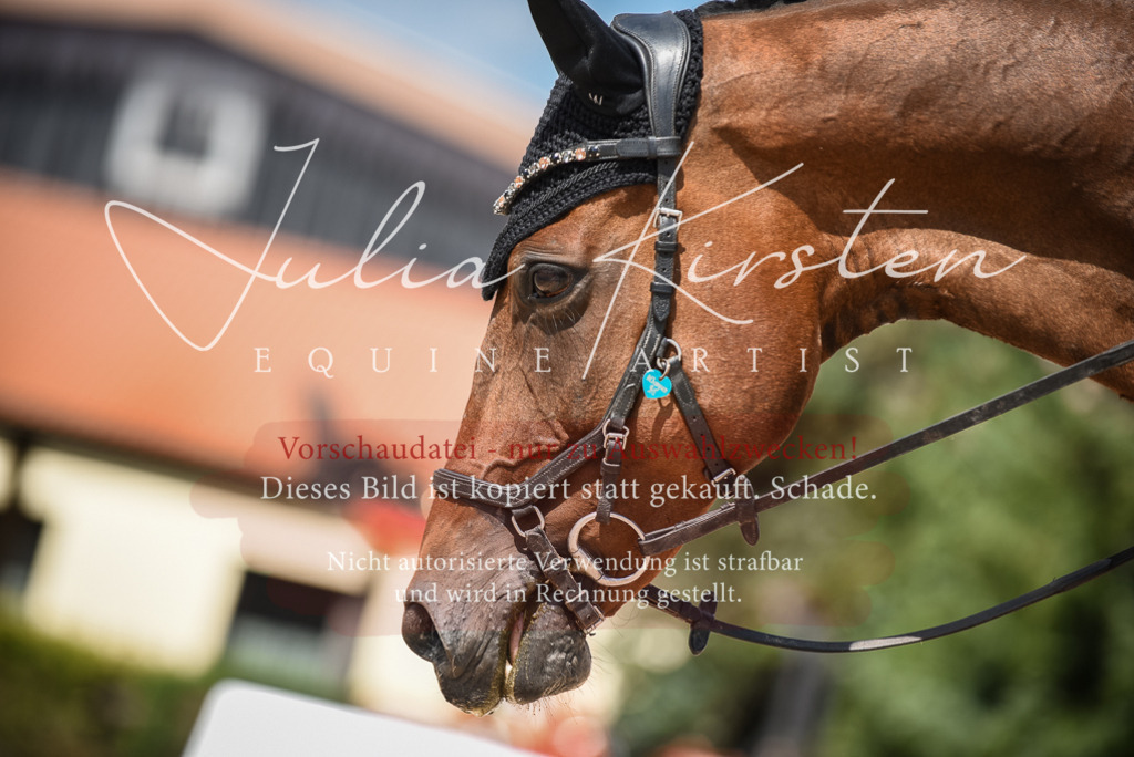 DSC_9043 | Pferde- und Turnierfotografie in Westsachsen. Pferdeportraits, Auftragszeichnungen und intuitive Kunst.
