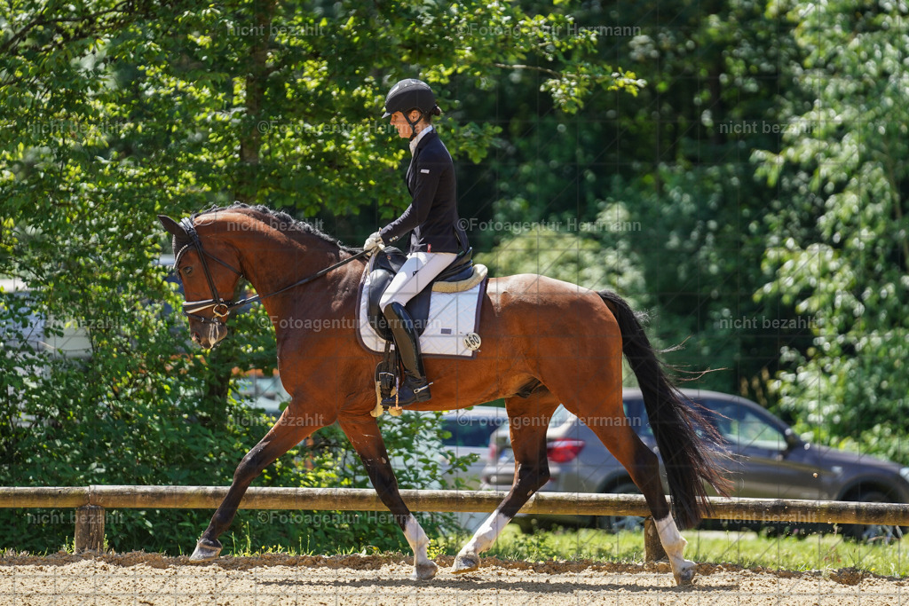 20240705-FAH03460 | Turnierbilder von Grafing, Reitsportbilder, Turnierfotos, Turnierfotografen Bayern, Pferdefotograf, Fotoagentur Herrmann