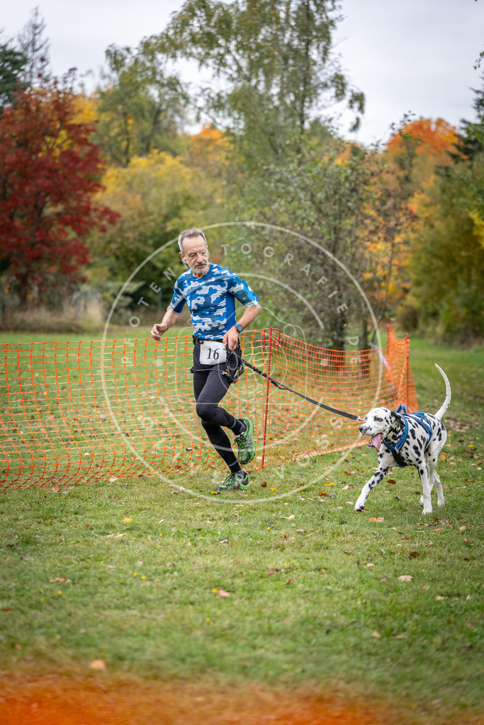 Pfotenfotografie_DV3A1893 | Hundefotografie, Tierfotograf, Pfotenfotografie, Fotoshooting Hund, Hunde Portrait, Hundesport, Hundeportraits, Heideshooting, Hunde, Sportfotograf, Hundefotograf, Turnierhundsport, THS,  - Realisiert mit Pictrs.com