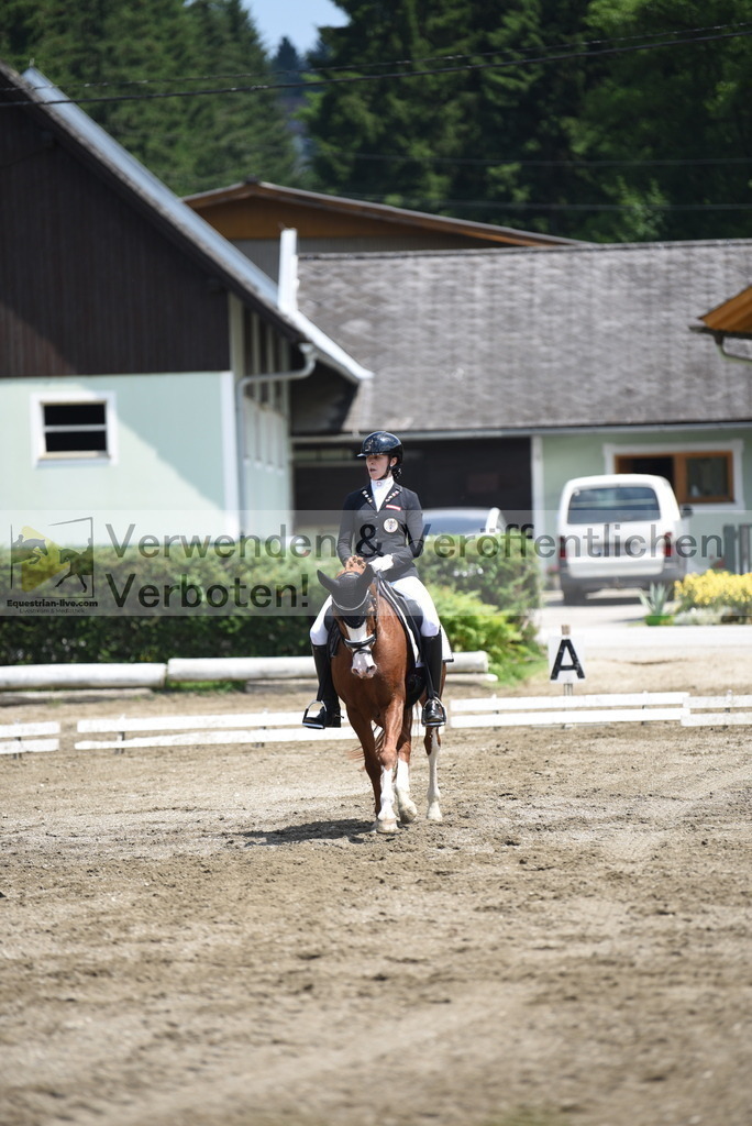 DSC_9677 | equestrian-live-com