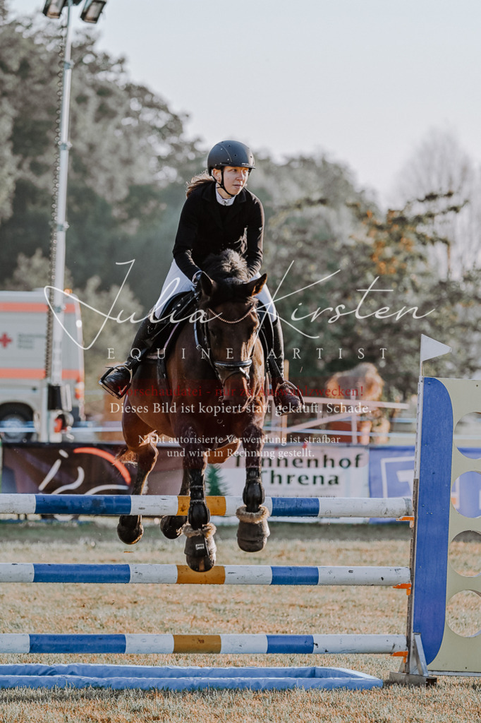 DSC_3782 | Pferde- und Turnierfotografie in Westsachsen. Pferdeportraits, Auftragszeichnungen und intuitive Kunst.