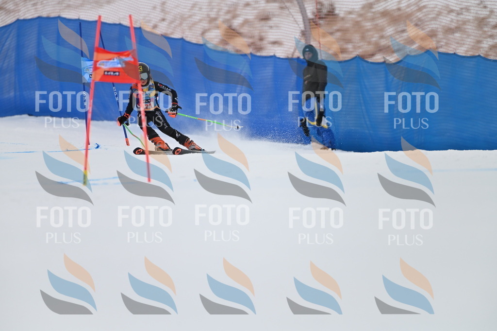 BGV_0608 | holidayphoto