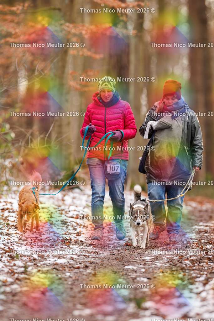 Thomas_Nico_Meuter(C)_223A9452 | Bild von Thomas Nico Meuter - Realisiert mit Pictrs.com