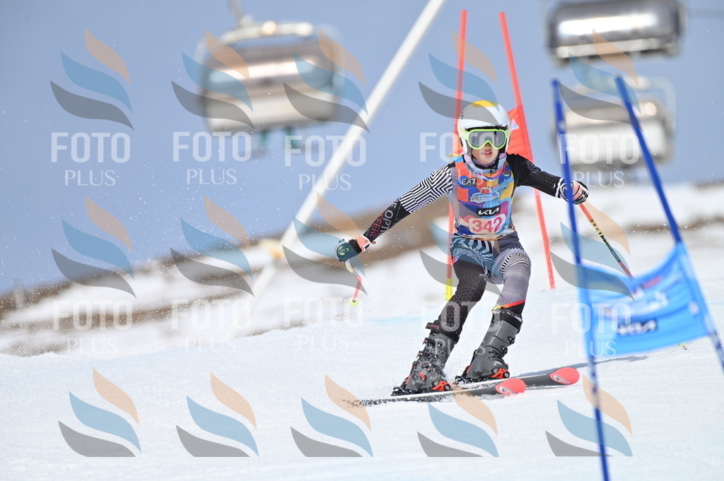 BGV_3480 | holidayphoto