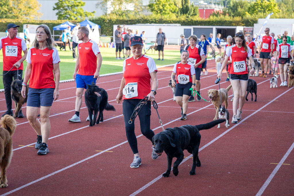 Pfotenfotografie_DV3A4332-2 | Hundefotografie, Tierfotograf, Pfotenfotografie, Fotoshooting Hund, Hunde Portrait, Hundesport, Hundeportraits, Heideshooting, Hunde, Sportfotograf, Hundefotograf, Turnierhundsport, THS,  - Realisiert mit Pictrs.com