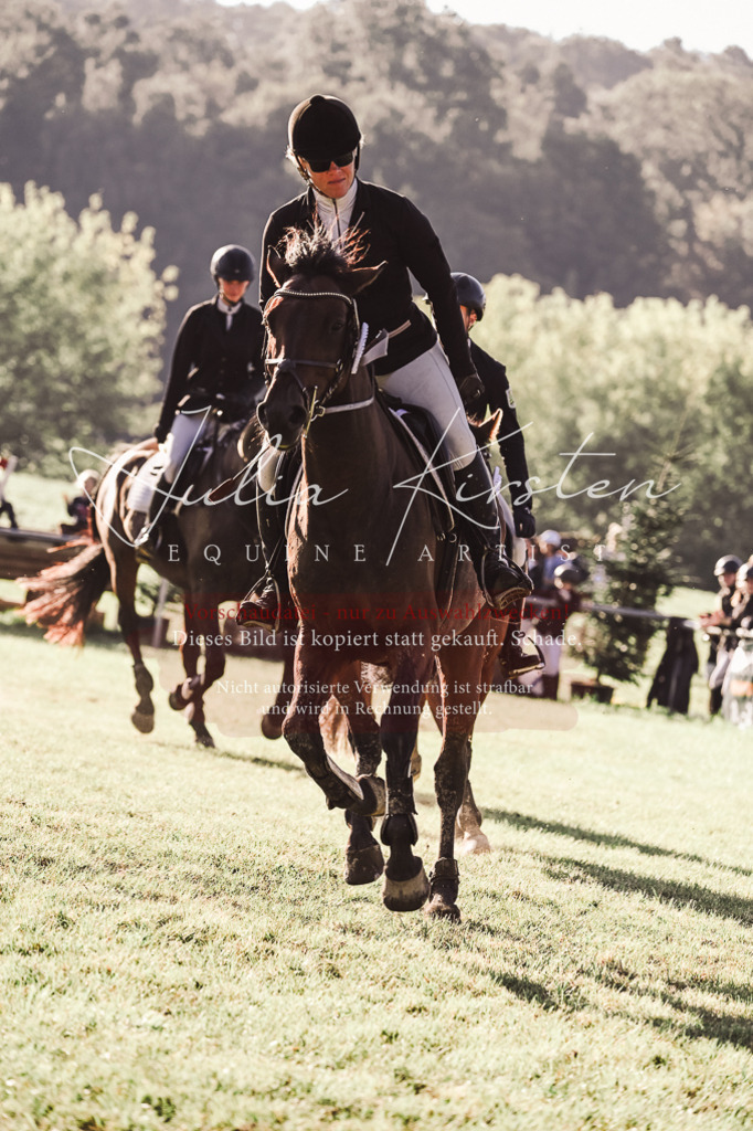 DSC_4637 | Pferde- und Turnierfotografie in Westsachsen. Pferdeportraits, Auftragszeichnungen und intuitive Kunst.