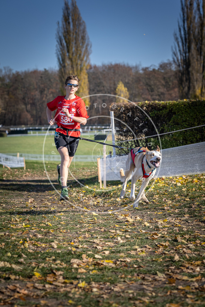 CaniXpix_DV3A9049 | Hundefotografie, Tierfotograf, Pfotenfotografie, Fotoshooting Hund, Hunde Portrait, Hundesport, Hundeportraits, Heideshooting, Hunde, Sportfotograf, Hundefotograf, Turnierhundsport, THS,  - Realisiert mit Pictrs.com
