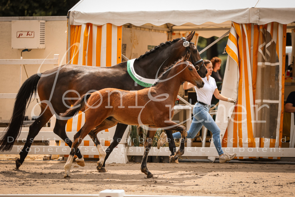 SaPA00024 | Leoni Ertmer Photography - Realisiert mit Pictrs.com