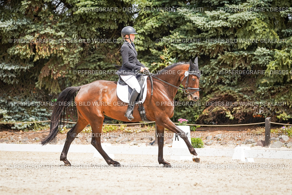 DSC03653 | Pferdegrafie