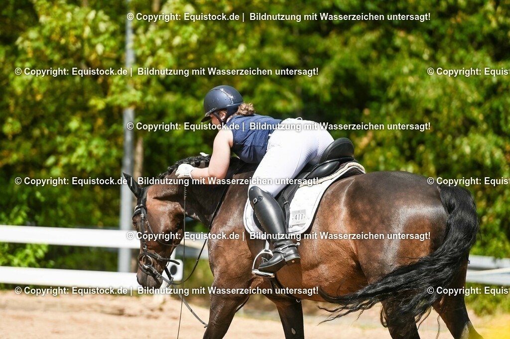 20230715_02_Dressurreiterprüfung Kl.L_0389 | equistock