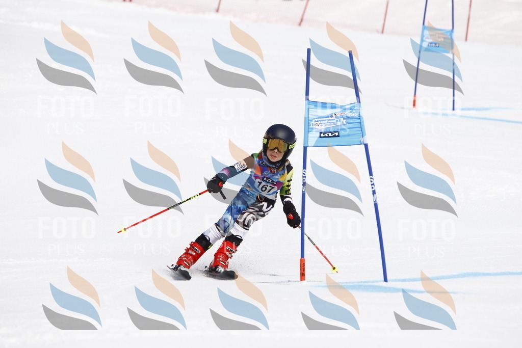 _U3G4475 | holidayphoto