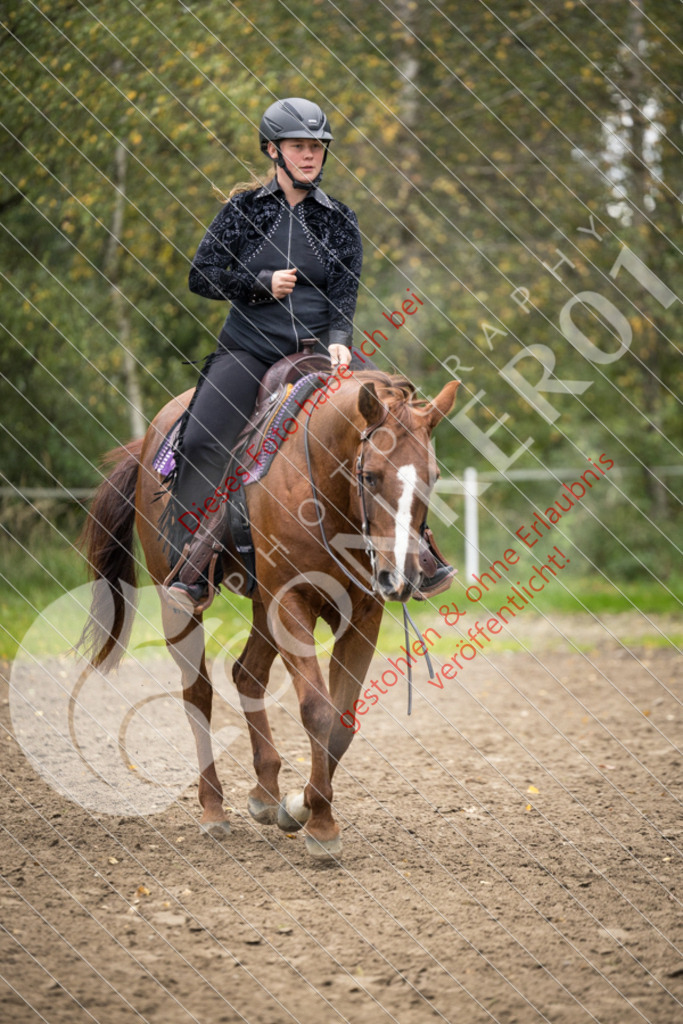 CON_9560 | Sport-, Event- und Tierfotos in Profiqualität. Einfach auswählen, bestellen und herunterladen. Dein Moment – perfekt festgehalten.
