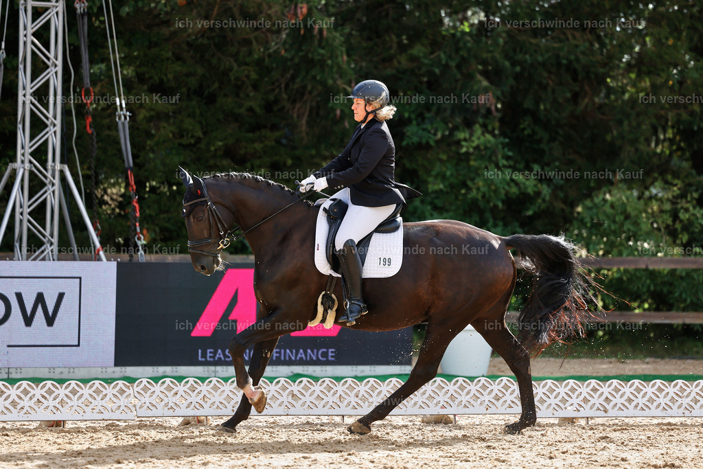 02-199-DRESSUR L_  -StoibPH-4785 | working equitationturnier fotograf videograf stoibphotography marixx film working equitation deutschland reitsport turnierfotografie eventfotografie equestrian events