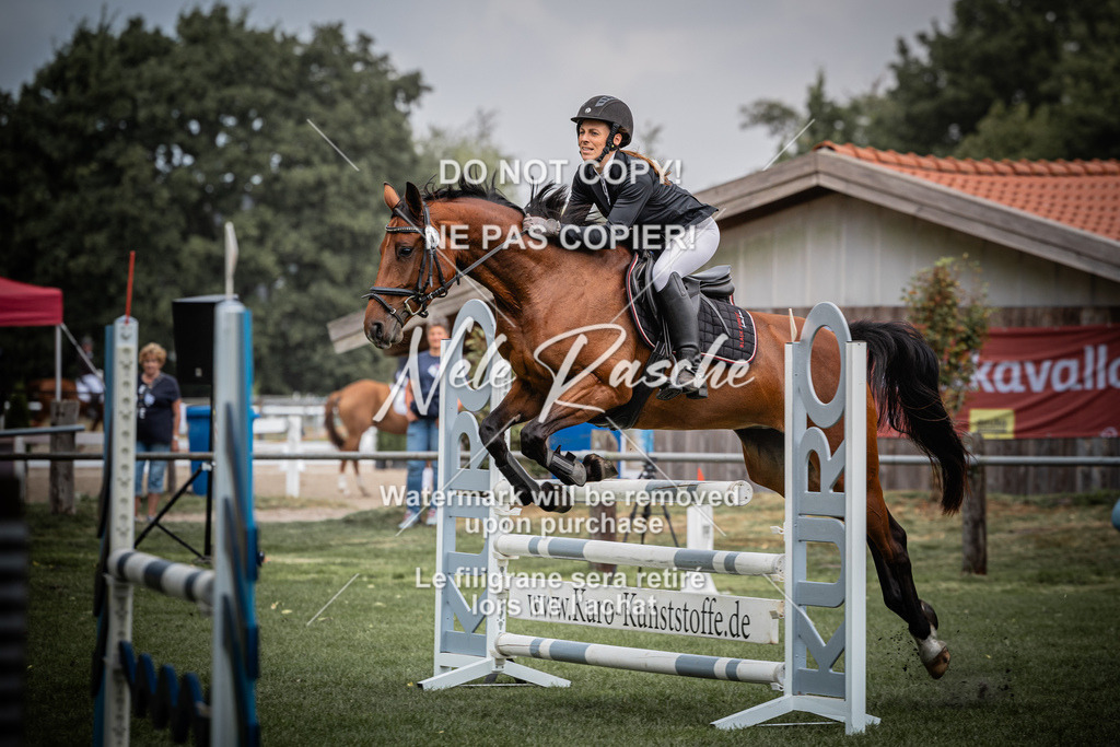 nelerasche_SprA__100Ede_07 | nelerasche