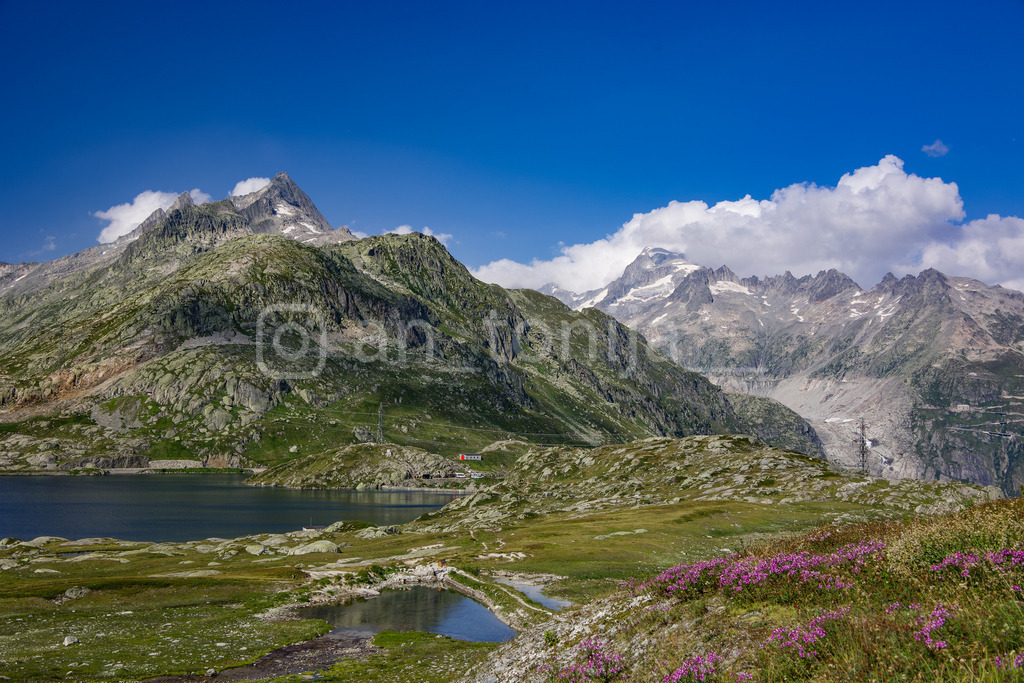 A.Trupina-58 | antonija-trupina - Realisiert mit Pictrs.com