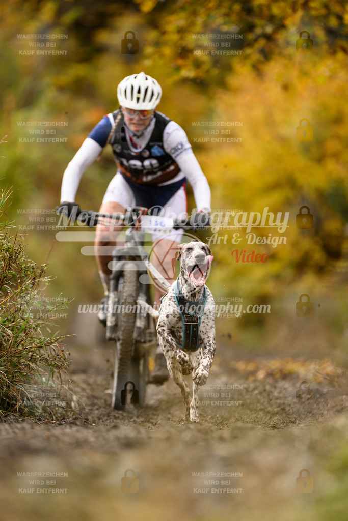 MompixPhotography_ICF_WC_2024_SA_Bike_-127 | PayLife