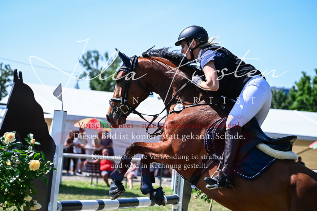 DSC_1440 | Pferde- und Turnierfotografie in Westsachsen. Pferdeportraits, Auftragszeichnungen und intuitive Kunst.