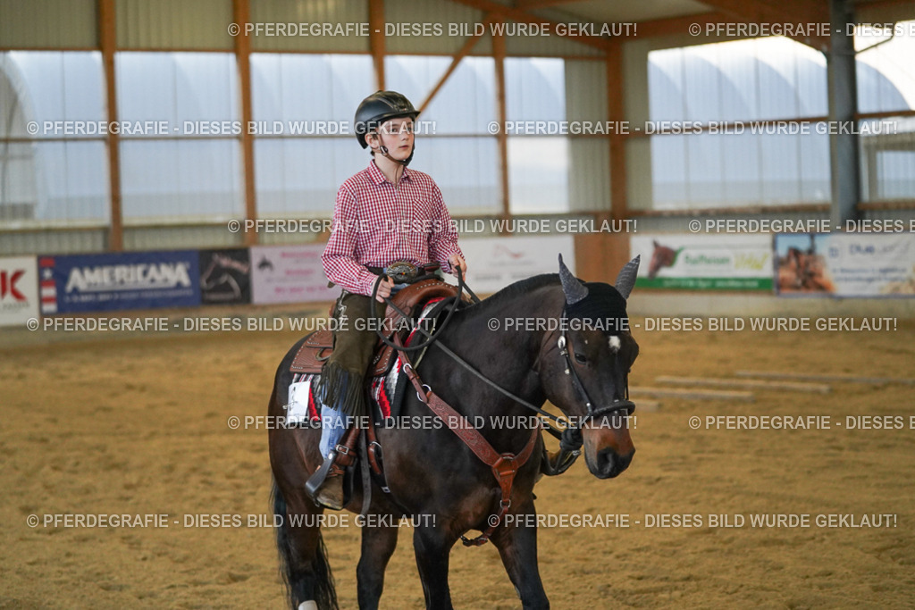 DSC09179 | Pferdegrafie