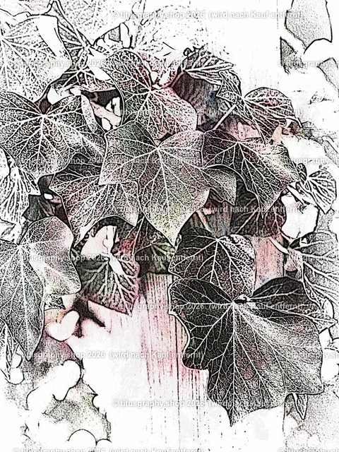 titusgraphy_P4045808-vz-ln_pe_pe-14 | titusgraphy-shop: Geschenkideen mit Qualitätsfotos. titusgraphy-shop: gift ideas with quality photos. titusgraphy-shop: idées cadeaux avec photos de qualité.  - Realisiert mit Pictrs.com