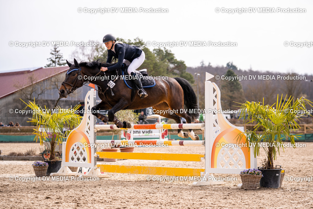 Kranichstein Tag 2-588 | dv-media-shop - Realisiert mit Pictrs.com