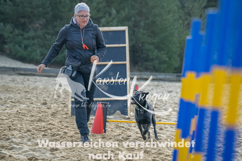 0902_ZZ91730-Bearbeitet | kk-dogfotos